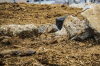 100年以上前から土木業界は嫌われていた？公共投資バッシングは、日本人独自の価値観が影響か