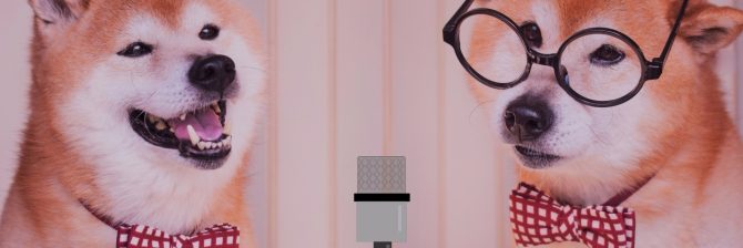 どないやねんの嵐、、、設計したん誰？！頼むからもっと責任感を持ってくれー！！