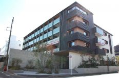 2022年の建築トレンドは”CLT” 木造は大型化の時代へ