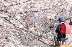 子供たちに破壊されまくる施工場所…。春の改修工事は要注意！