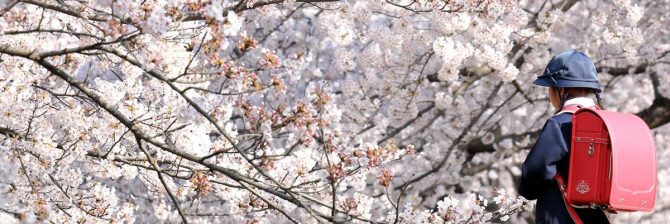 子供たちに破壊されまくる施工場所…。春の改修工事は要注意！