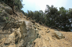 相次ぐ豪雨災害。過去の災害復旧事例から考える