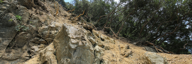相次ぐ豪雨災害。過去の災害復旧事例から考える