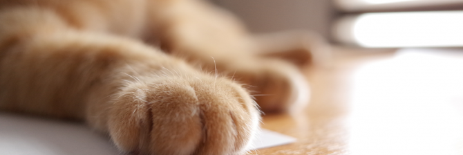 中小建設会社が若手施工管理者を派遣で採用した結果