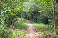 施工管理の仕事は”茨の道”。進路を誤らないための2つの方法