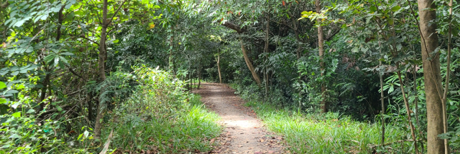 施工管理の仕事は”茨の道”。進路を誤らないための2つの方法