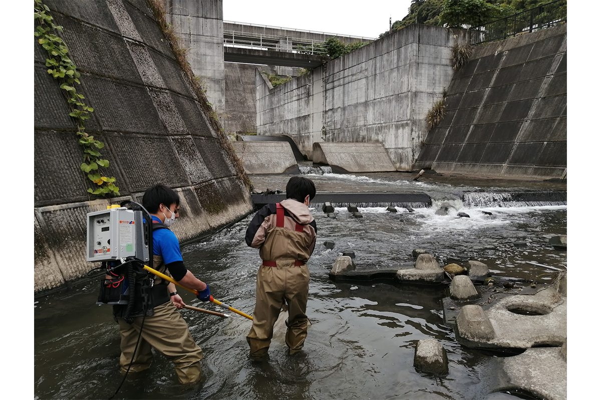 流水型ダムである西之谷ダム下流での電気ショッカーを用いた魚類調査(皆川先生写真提供)