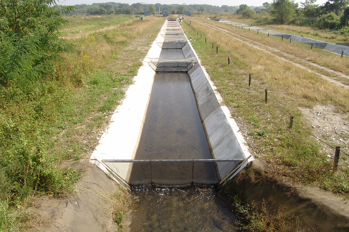 自然共生研究センターの実験用河川(皆川先生写真提供)