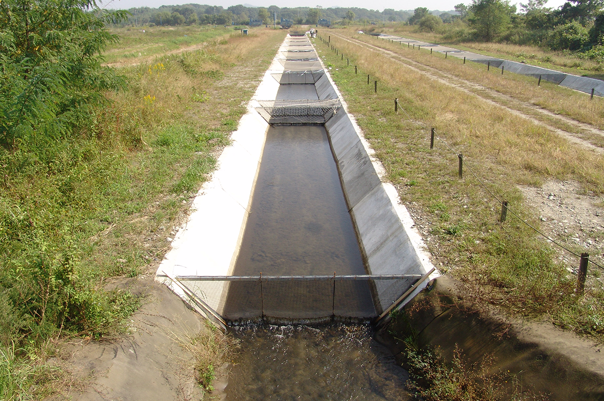 自然共生研究センターの実験用河川（皆川先生写真提供）