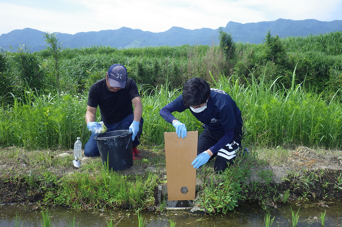 鹿児島くんによる南阿蘇村における田んぼダムによる流出抑制(本人写真提供)