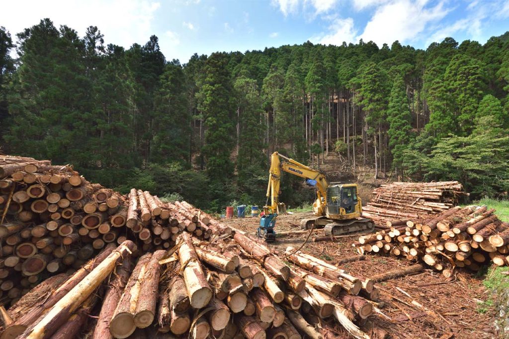 【全建総連】ウッドショックで国産材転換進む