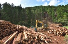 【全建総連】ウッドショックで国産材転換進む ～工務店の木材利用実態調査～