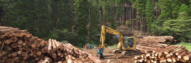 【全建総連】ウッドショックで国産材転換進む ～工務店の木材利用実態調査～