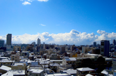 隣地境界線でトラブルに！ルールや注意点、トラブル回避方法を解説