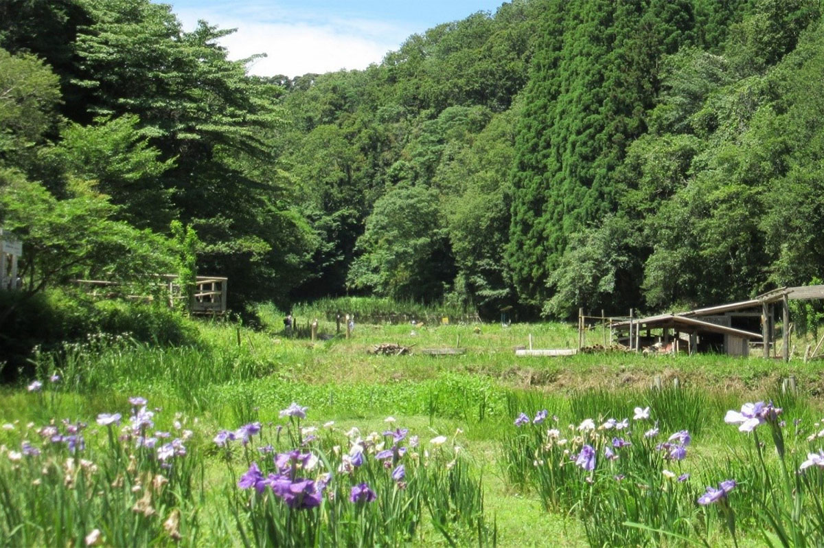 「里山」は、農林業の生産の場であると同時に、多様な生き物の生育空間や景観形成、防災や気象緩和にも大きな役割を果たしている。