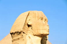 ここは異国？これは古代文明の地図…？入社1年目の施工管理が感じるギャップ5選