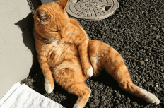 おじさんたちに質問！「若い子との接し方って難しいですか？」