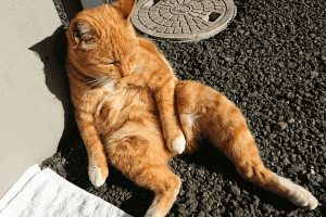 おじさんたちに質問！「若い子との接し方って難しいですか？」