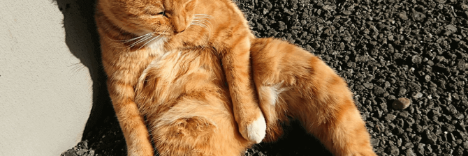 おじさんたちに質問！「若い子との接し方って難しいですか？」