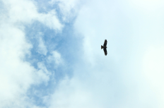 後輩施工管理が突如現場から姿を消した…