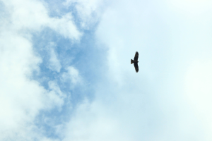 後輩施工管理が突如現場から姿を消した…