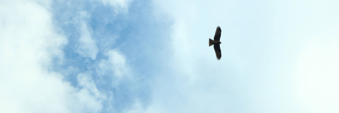 後輩施工管理が突如現場から姿を消した…