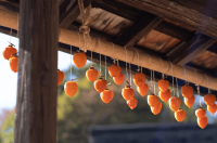 軒先(のきさき)とはどこ?軒下との違いも解説