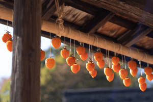 軒先（のきさき）とはどこ？軒下との違いも解説