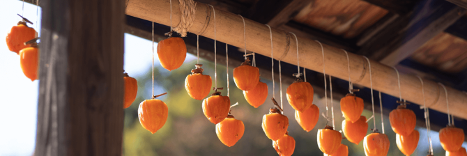 軒先（のきさき）とはどこ？軒下との違いも解説