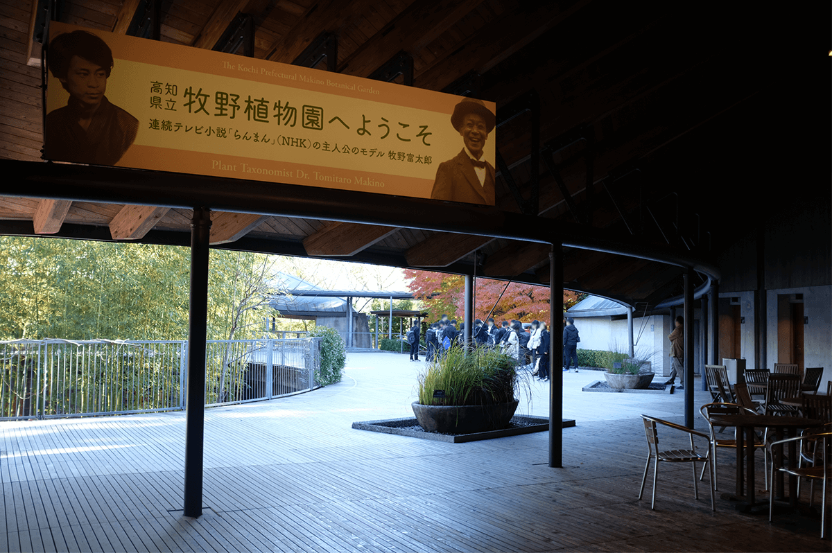 牧野富太郎記念館(山口くん提供)