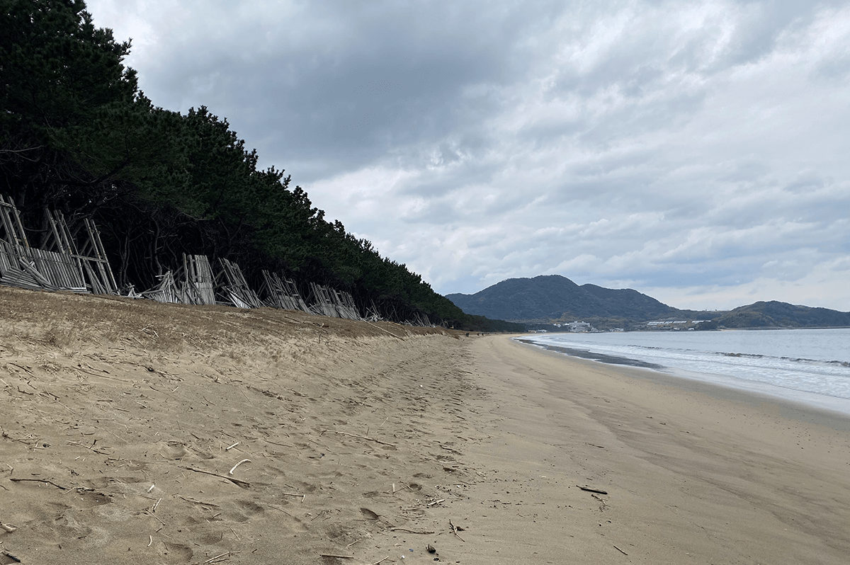 侵食の影響を受けている福岡・糸島の海岸（井上さん写真提供）