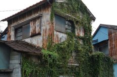 【オープンハウスグループ】大相続時代で家じまいの相談増加。戸建て建替え工事で社会解決