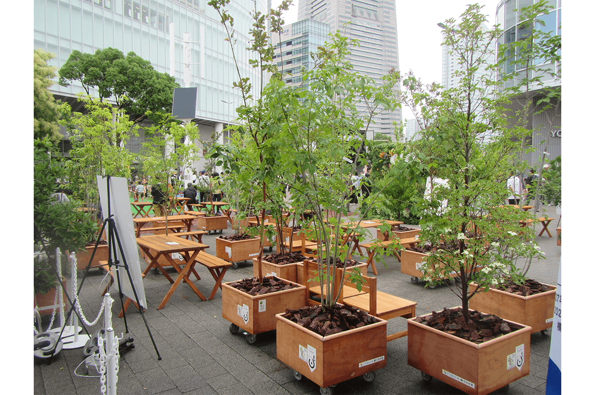 動かせる緑を設置した広場（坂本さん写真提供）