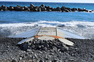 【西湘海岸事業を追う#2】外海の猛威に挑む　大林組が切り開く西湘海岸の新たな施工技術