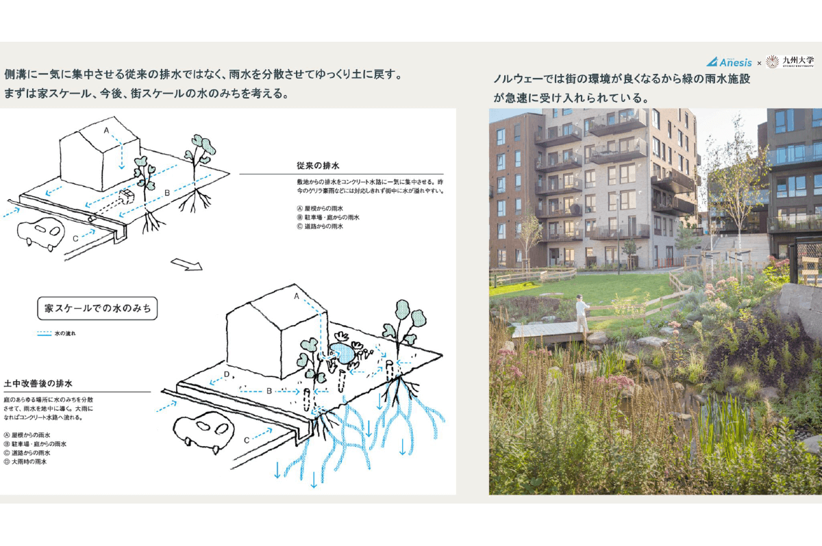MILJØ（ミリヨ）発表会資料より