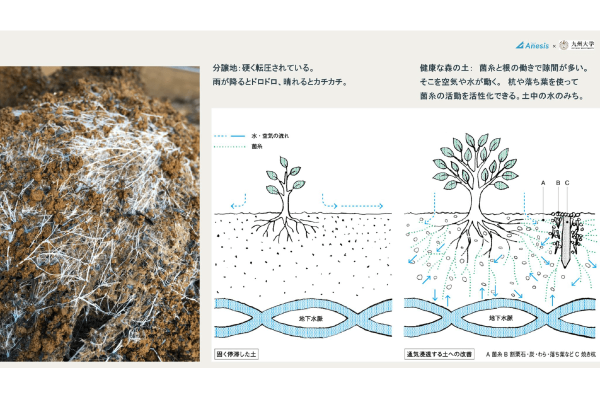 MILJØ（ミリヨ）発表会資料より