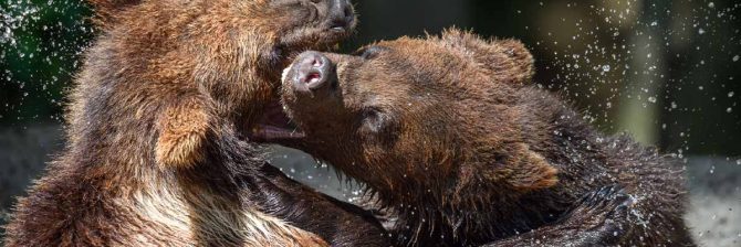 お前のものはおれのもの！隣地の足場もおれのもの？