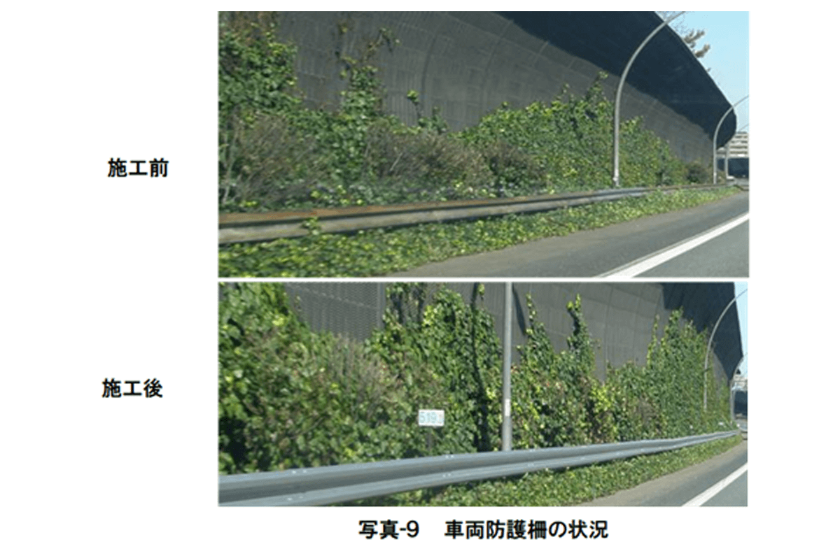 写真-９ 　車両防護柵の状況