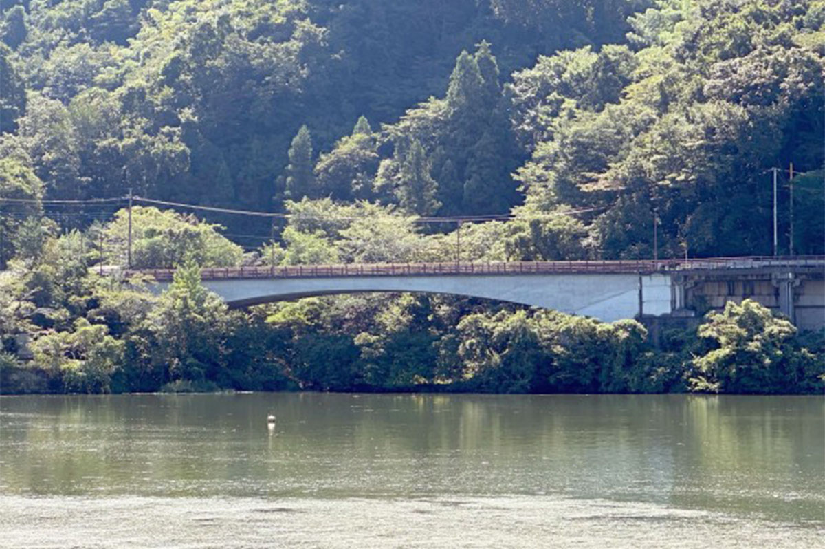 嵐山橋(神奈川県)