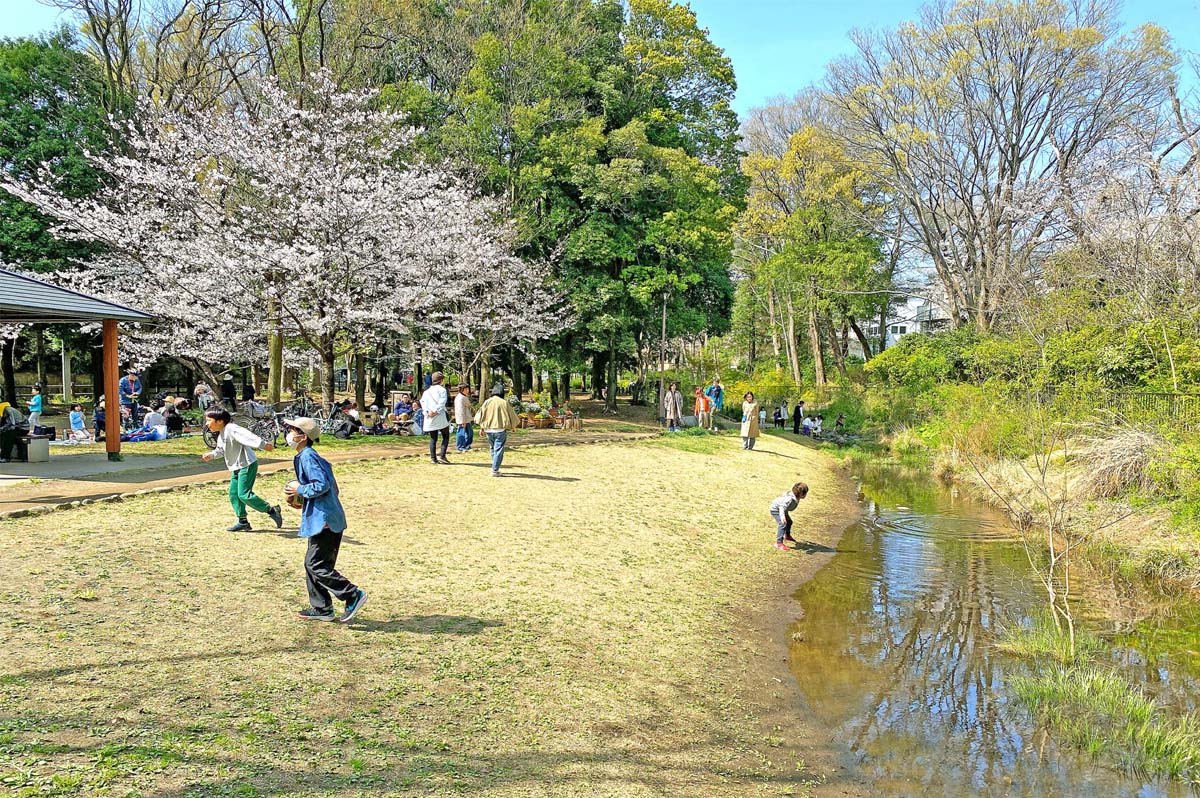 遅野井川親水施設