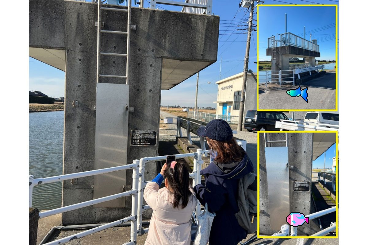 「水門アクアリウム」市民参加で社会インフラとまちを守る