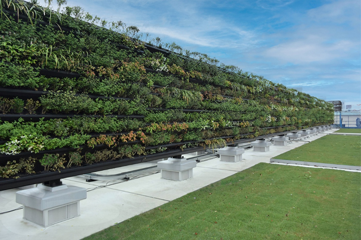 東鉄工業が手掛けた上野駅公園口での壁面緑化