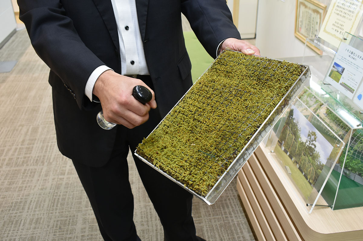 「トモスシステム」のスナゴケ