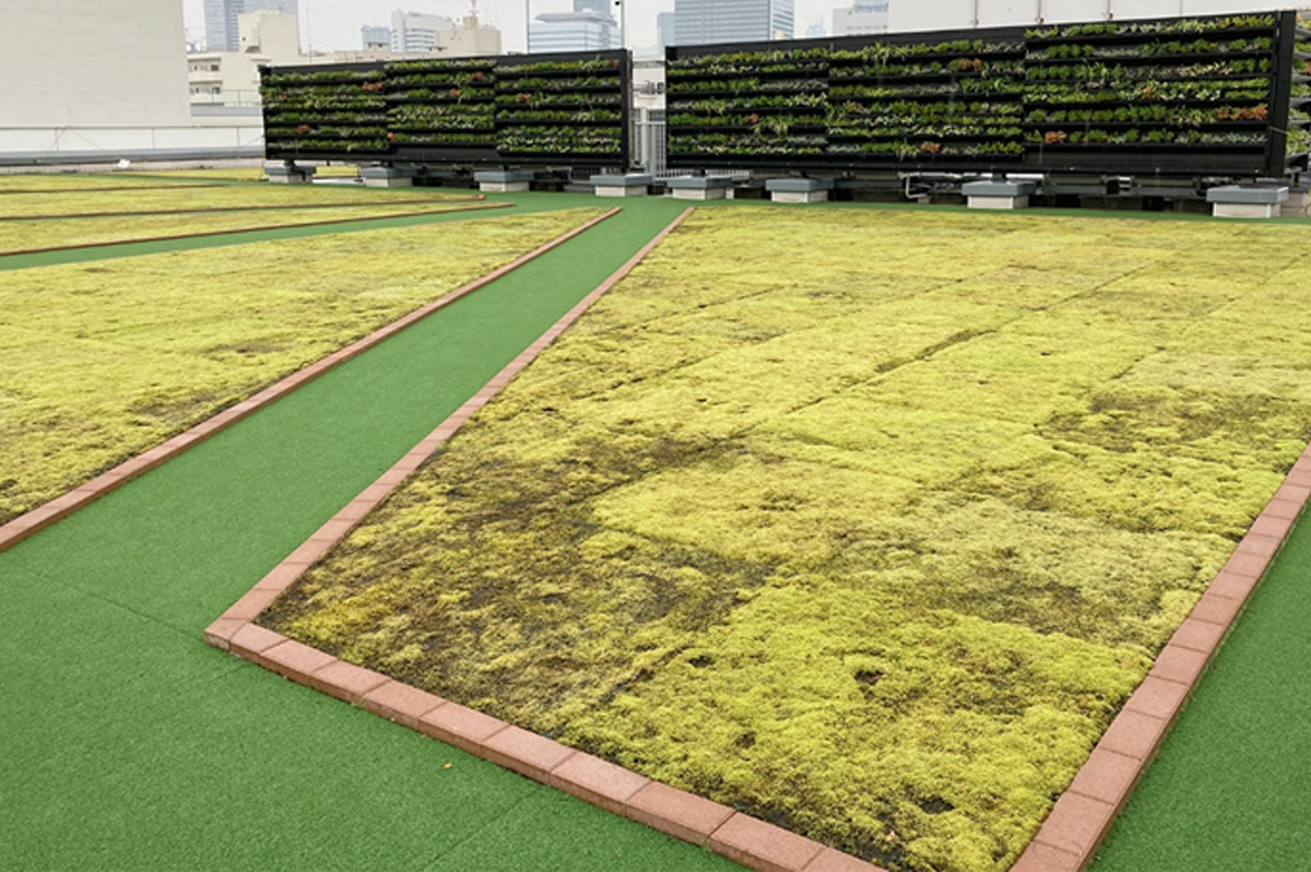 豊海振興ビルの屋上事例の苔緑化の「トモスシステム」