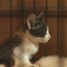 はるのぼん　プロフィール
